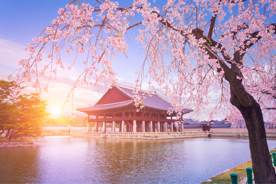 Tour Hàn Quốc - Seoul - Nami - Everland